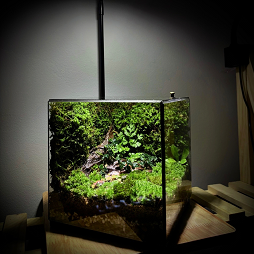 Cubic