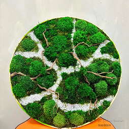 Moss Art Trees