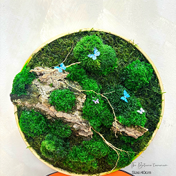 Moss art butterfly