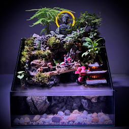Paludarium Buddha