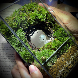 Small alien terrarium