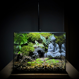 Wukong Terrarium