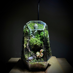 Terrarium Buddha