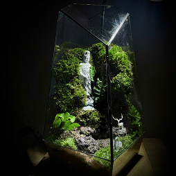 Terrarium Guanyin