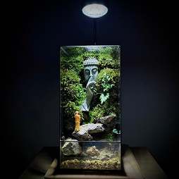 Terrarium Peaceful Buddha