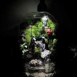 Terrarium Waterfall