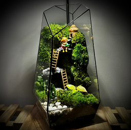 Terrarium Ponyo