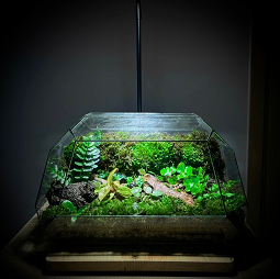 Miniature Woodland