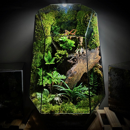 Terrarium Groot