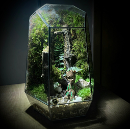 Terrarium Small Groot