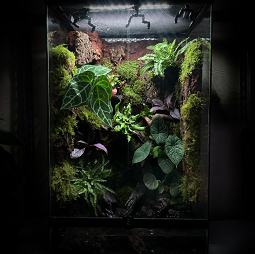 Paludarium