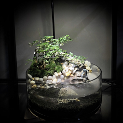 Vivarium