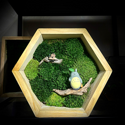 Totoro Moss Art