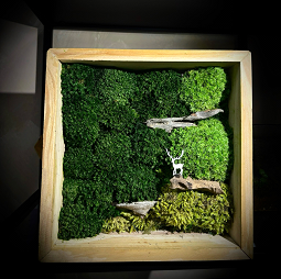 Deer Moss Art