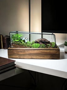 Blastoise Terrarium