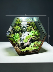 Wukong Miniature Terrarium