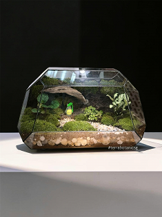 Totoro Miniature Terrarium